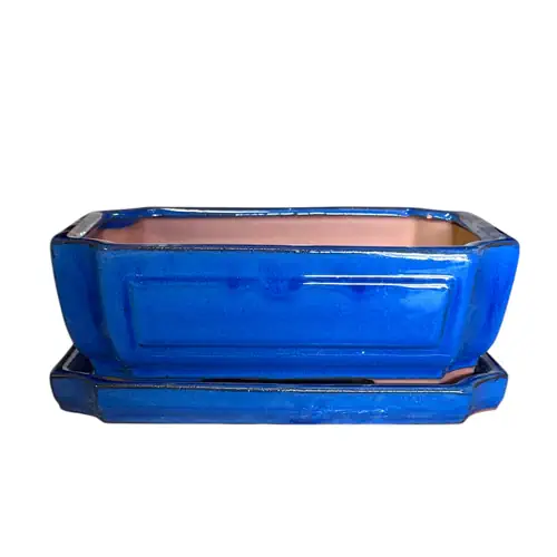Deep Blue Rectangle Ceramic Pot & Tray 26cm