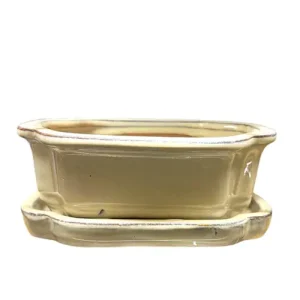 Cream Rectangle Ceramic Pot with Tray 18cm