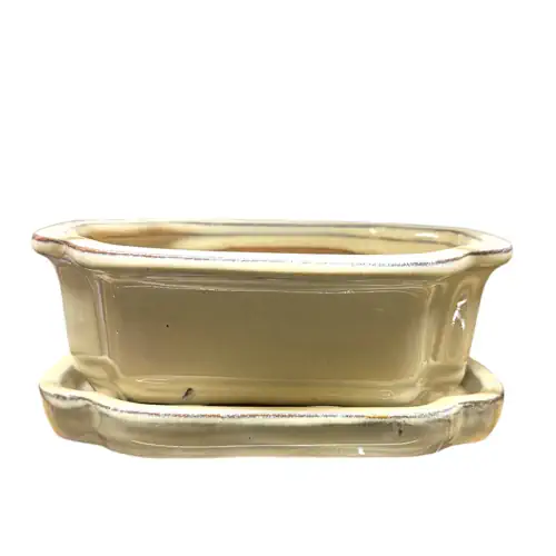 Cream Rectangle Ceramic Pot with Tray 18cm