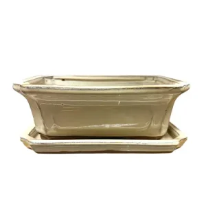 Cream Rectangle Ceramic Pot & Tray 20cm