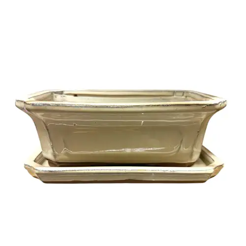 Cream Rectangle Ceramic Pot & Tray 20cm