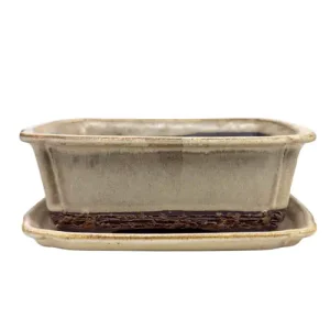 Cream Fine Glazed Bonsai Pot & Tray 17cm