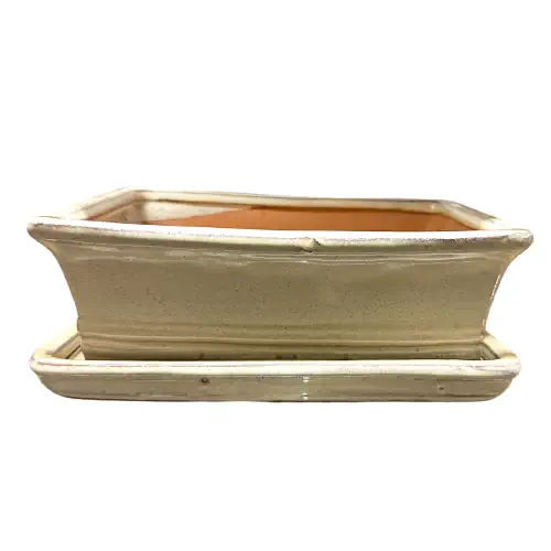 Cream Rectangle Ceramic Pot & Tray 26cm
