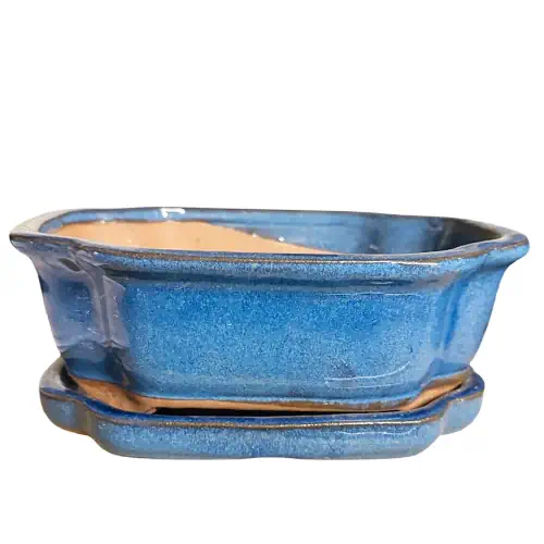 Blue Flower Shape Ceramic Pot with Tray 21cm