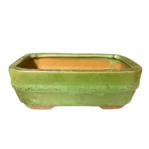 Light Green Glazed Rectangle Ceramic Bonsai Pot 21cm