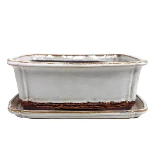 White Fine Glazed Bonsai Pot & Tray 17cm