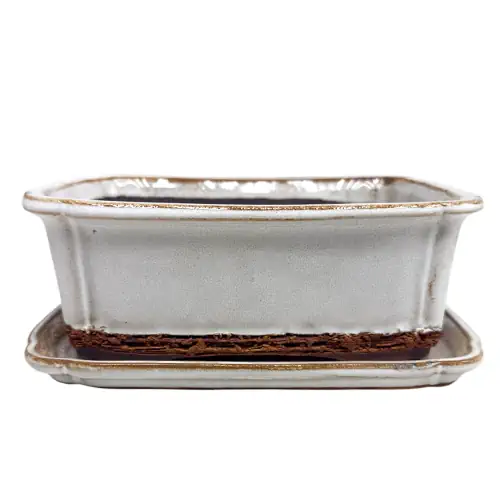 White Fine Glazed Bonsai Pot & Tray 17cm