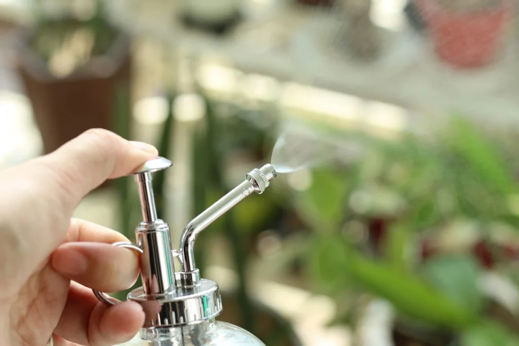 image of bonsai misting sprayer in action from behind with plants out of focus