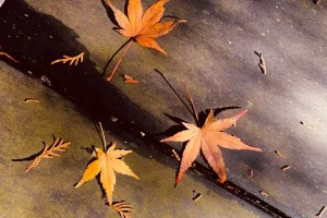 three maples leaves of orange and yellow hues on wooden outdoor surface